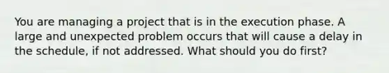 You are managing a project that is in the execution phase. A large and unexpected problem occurs that will cause a delay in the schedule, if not addressed. What should you do first?