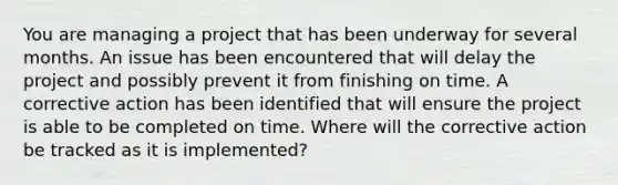 You are managing a project that has been underway for several months. An issue has been encountered that will delay the project and possibly prevent it from finishing on time. A corrective action has been identified that will ensure the project is able to be completed on time. Where will the corrective action be tracked as it is implemented?