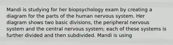 Mandi is studying for her biopsychology exam by creating a diagram for the parts of the human nervous system. Her diagram shows two basic divisions, the peripheral nervous system and the central nervous system; each of these systems is further divided and then subdivided. Mandi is using