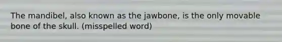 The mandibel, also known as the jawbone, is the only movable bone of the skull. (misspelled word)