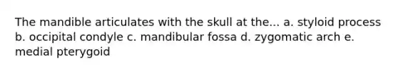 The mandible articulates with the skull at the... a. styloid process b. occipital condyle c. mandibular fossa d. zygomatic arch e. medial pterygoid