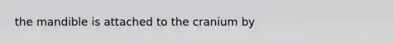 the mandible is attached to the cranium by