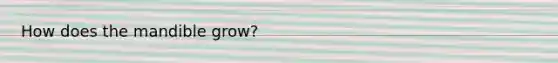 How does the mandible grow?