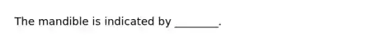 The mandible is indicated by ________.