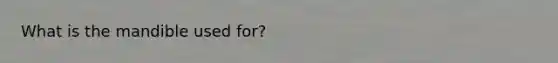 What is the mandible used for?
