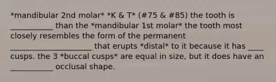 *mandibular 2nd molar* *K & T* (#75 & #85) the tooth is ___________ than the *mandibular 1st molar* the tooth most closely resembles the form of the permanent _____________________ that erupts *distal* to it because it has ____ cusps. the 3 *buccal cusps* are equal in size, but it does have an ___________ occlusal shape.