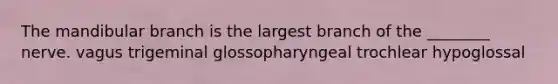 The mandibular branch is the largest branch of the ________ nerve. vagus trigeminal glossopharyngeal trochlear hypoglossal