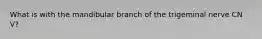 What is with the mandibular branch of the trigeminal nerve CN V?