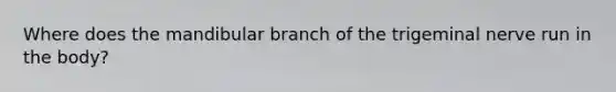 Where does the mandibular branch of the trigeminal nerve run in the body?