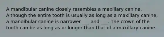 A mandibular canine closely resembles a maxillary canine. Although the entire tooth is usually as long as a maxillary canine, a mandibular canine is narrower ___ and ___. The crown of the tooth can be as long as or longer than that of a maxillary canine.