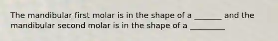 The mandibular first molar is in the shape of a _______ and the mandibular second molar is in the shape of a _________