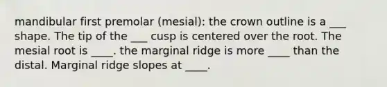 mandibular first premolar (mesial): the crown outline is a ___ shape. The tip of the ___ cusp is centered over the root. The mesial root is ____. the marginal ridge is more ____ than the distal. Marginal ridge slopes at ____.