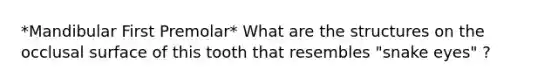 *Mandibular First Premolar* What are the structures on the occlusal surface of this tooth that resembles "snake eyes" ?
