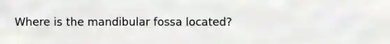 Where is the mandibular fossa located?