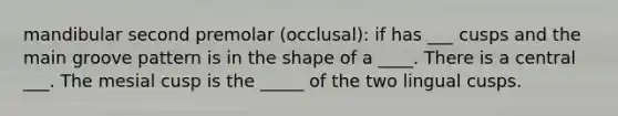 mandibular second premolar (occlusal): if has ___ cusps and the main groove pattern is in the shape of a ____. There is a central ___. The mesial cusp is the _____ of the two lingual cusps.