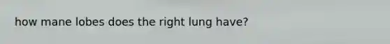 how mane lobes does the right lung have?