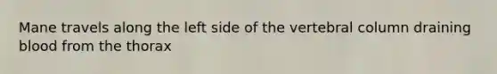 Mane travels along the left side of the vertebral column draining blood from the thorax