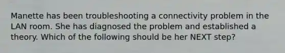 Manette has been troubleshooting a connectivity problem in the LAN room. She has diagnosed the problem and established a theory. Which of the following should be her NEXT step?