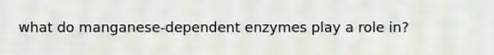 what do manganese-dependent enzymes play a role in?