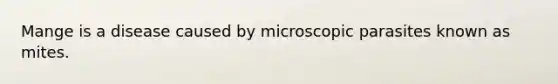 Mange is a disease caused by microscopic parasites known as mites.