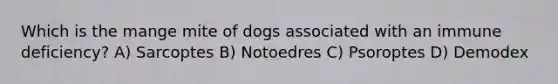 Which is the mange mite of dogs associated with an immune deficiency? A) Sarcoptes B) Notoedres C) Psoroptes D) Demodex