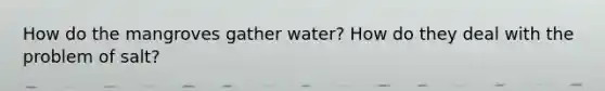 How do the mangroves gather water? How do they deal with the problem of salt?