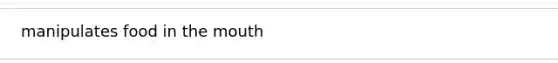 manipulates food in <a href='https://www.questionai.com/knowledge/krBoWYDU6j-the-mouth' class='anchor-knowledge'>the mouth</a>
