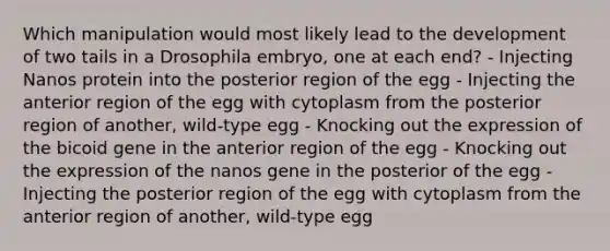 Which manipulation would most likely lead to the development of two tails in a Drosophila embryo, one at each end? - Injecting Nanos protein into the posterior region of the egg - Injecting the anterior region of the egg with cytoplasm from the posterior region of another, wild-type egg - Knocking out the expression of the bicoid gene in the anterior region of the egg - Knocking out the expression of the nanos gene in the posterior of the egg - Injecting the posterior region of the egg with cytoplasm from the anterior region of another, wild-type egg