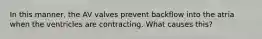 In this manner, the AV valves prevent backflow into the atria when the ventricles are contracting. What causes this?