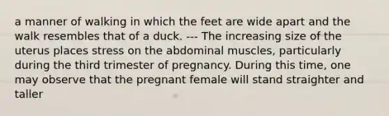 a manner of walking in which the feet are wide apart and the walk resembles that of a duck. --- The increasing size of the uterus places stress on the abdominal muscles, particularly during the third trimester of pregnancy. During this time, one may observe that the pregnant female will stand straighter and taller