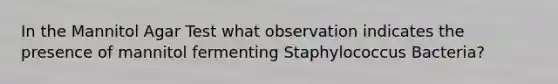 In the Mannitol Agar Test what observation indicates the presence of mannitol fermenting Staphylococcus Bacteria?