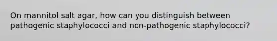 On mannitol salt agar, how can you distinguish between pathogenic staphylococci and non-pathogenic staphylococci?