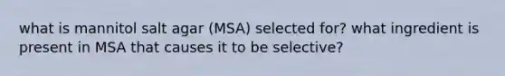 what is mannitol salt agar (MSA) selected for? what ingredient is present in MSA that causes it to be selective?