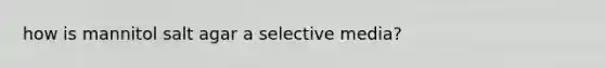 how is mannitol salt agar a selective media?