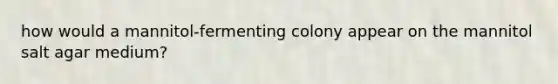 how would a mannitol-fermenting colony appear on the mannitol salt agar medium?