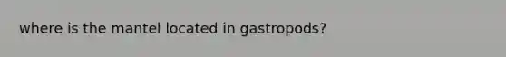 where is the mantel located in gastropods?