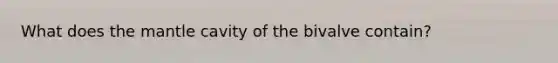 What does <a href='https://www.questionai.com/knowledge/kHR4HOnNY8-the-mantle' class='anchor-knowledge'>the mantle</a> cavity of the bivalve contain?