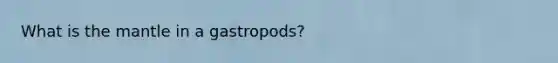 What is <a href='https://www.questionai.com/knowledge/kHR4HOnNY8-the-mantle' class='anchor-knowledge'>the mantle</a> in a gastropods?