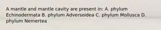 A mantle and mantle cavity are present in: A. phylum Echinodermata B. phylum Adversoidea C. phylum Mollusca D. phylum Nemertea