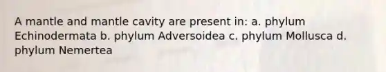 A mantle and mantle cavity are present in: a. phylum Echinodermata b. phylum Adversoidea c. phylum Mollusca d. phylum Nemertea