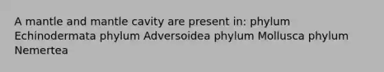 A mantle and mantle cavity are present in: phylum Echinodermata phylum Adversoidea phylum Mollusca phylum Nemertea