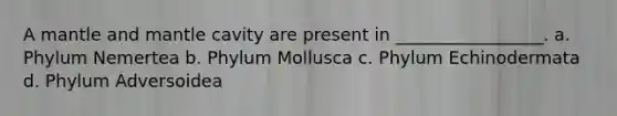 A mantle and mantle cavity are present in _________________. a. Phylum Nemertea b. Phylum Mollusca c. Phylum Echinodermata d. Phylum Adversoidea