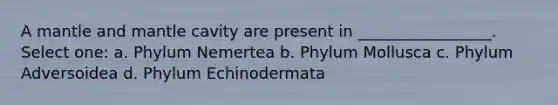 A mantle and mantle cavity are present in _________________. Select one: a. Phylum Nemertea b. Phylum Mollusca c. Phylum Adversoidea d. Phylum Echinodermata