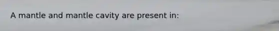 A mantle and mantle cavity are present in: