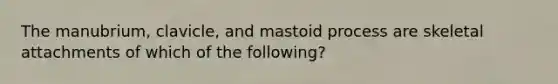 The manubrium, clavicle, and mastoid process are skeletal attachments of which of the following?