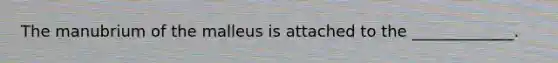 The manubrium of the malleus is attached to the _____________.