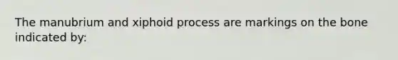 The manubrium and xiphoid process are markings on the bone indicated by: