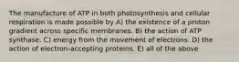 The manufacture of ATP in both photosynthesis and cellular respiration is made possible by A) the existence of a proton gradient across specific membranes. B) the action of ATP synthase. C) energy from the movement of electrons. D) the action of electron-accepting proteins. E) all of the above