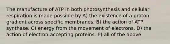 The manufacture of ATP in both photosynthesis and <a href='https://www.questionai.com/knowledge/k1IqNYBAJw-cellular-respiration' class='anchor-knowledge'>cellular respiration</a> is made possible by A) the existence of a proton gradient across specific membranes. B) the action of ATP synthase. C) energy from the movement of electrons. D) the action of electron-accepting proteins. E) all of the above