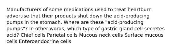 Manufacturers of some medications used to treat heartburn advertise that their products shut down the acid-producing pumps in the stomach. Where are these "acid-producing pumps"? In other words, which type of gastric gland cell secretes acid? Chief cells Parietal cells Mucous neck cells Surface mucous cells Enteroendocrine cells